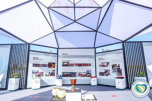 直擊第五屆江蘇志愿服務(wù)展示交流會(huì)開幕 蘇州市青年“手繪鄉(xiāng)村”志愿服務(wù)項(xiàng)目特展現(xiàn)場紀(jì)實(shí)